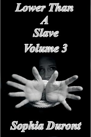 Cover of the book Lower Than A Slave by Noel Red