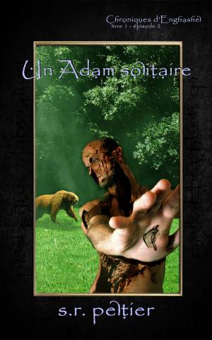 Cover of the book Un Adam solitaire by Andy Stilpactrik