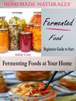 Cover of the book Homemade Naturally Fermented Foods by Elisa Lottor, Ph.D., HMD, Ph.D., HMD