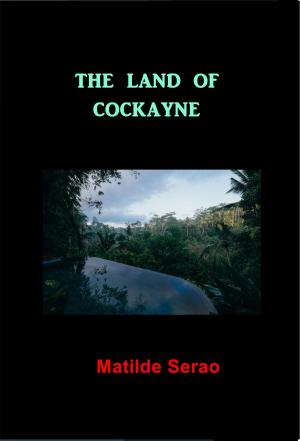 bigCover of the book The Land of Cockayne by 
