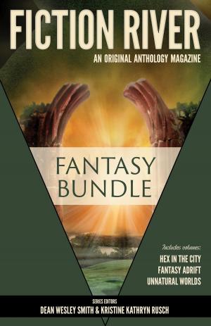 Book cover of Fiction River: Fantasy Bundle