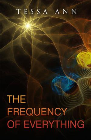 Cover of the book The Frequency Of Everything by J. E. Lindsay