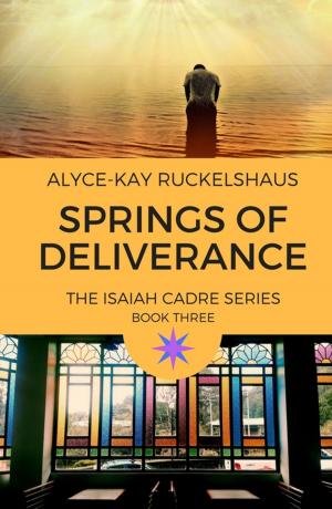 bigCover of the book Springs of Deliverance by 