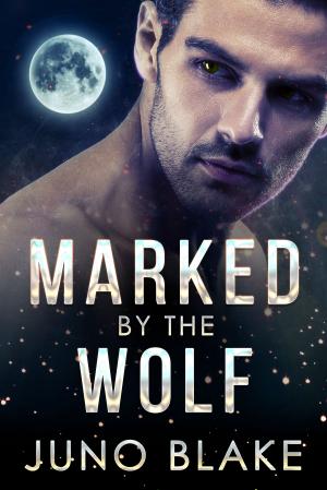 Book cover of Marked by the Wolf