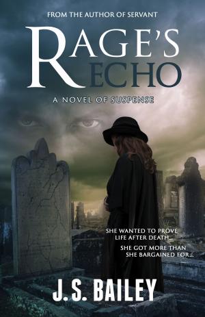 Cover of the book Rage's Echo by Barry Knister