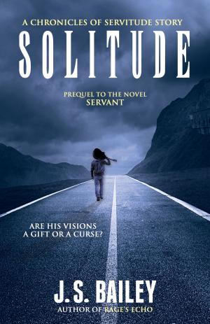 Cover of the book Solitude by Joy Ross Davis