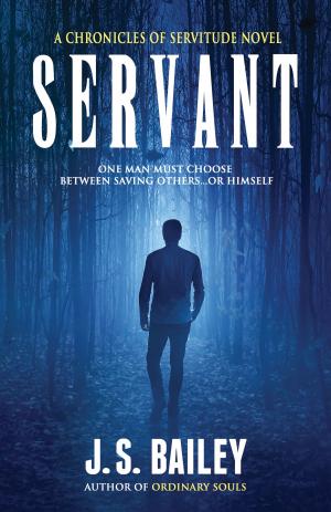 Book cover of Servant