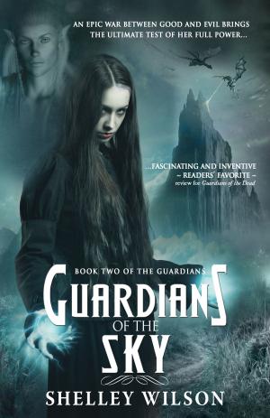 Book cover of Guardians of the Sky