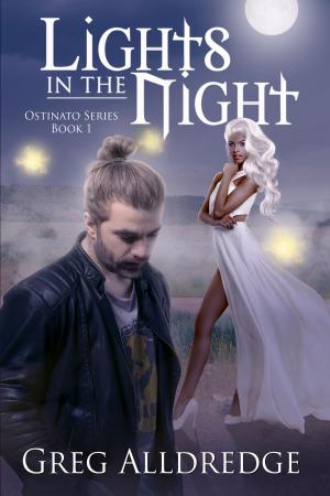 Cover of Lights in the Night