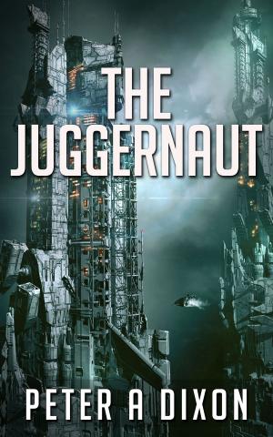 Cover of the book The Juggernaut by Michael Lane