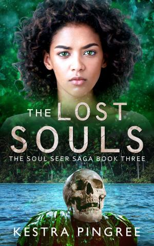 Cover of The Lost Souls