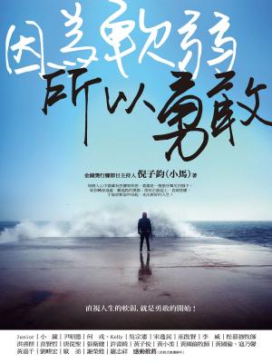Cover of the book 因為軟弱，所以勇敢 by Linwood Barclay
