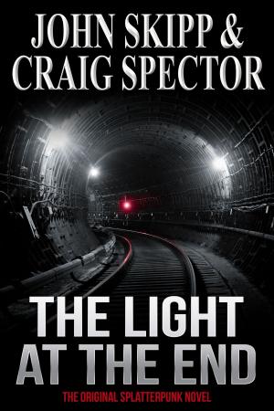 Cover of The Light at the End