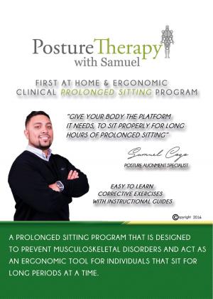 Cover of The First At-Home & Ergonomic Prolonged Sitting Program
