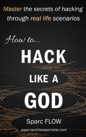 bigCover of the book How to Hack Like a GOD by 