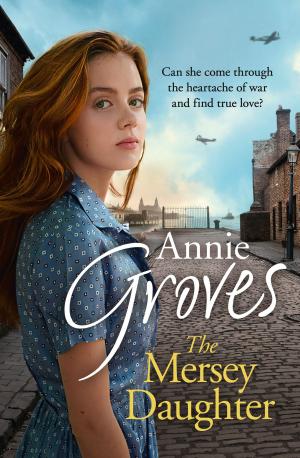 bigCover of the book The Mersey Daughter by 