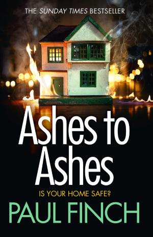 bigCover of the book Ashes to Ashes (Detective Mark Heckenburg, Book 6) by 