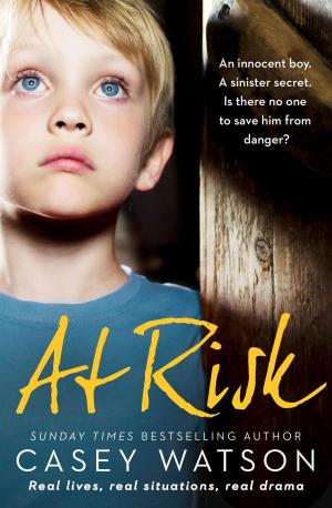 Cover of the book At Risk: An innocent boy. A sinister secret. Is there no one to save him from danger? by Cathy Glass