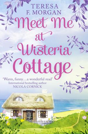 bigCover of the book Meet Me at Wisteria Cottage by 