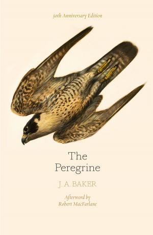 Cover of the book The Peregrine: 50th Anniversary Edition: Afterword by Robert Macfarlane by Sunbird Images