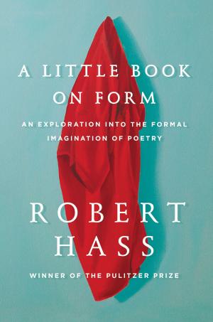 Cover of the book A Little Book on Form by Hillary DePiano