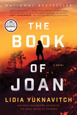 Cover of the book The Book of Joan by Daniel Silva