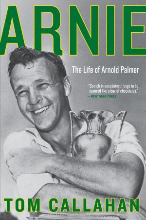 Cover of the book Arnie by Matt Hilton