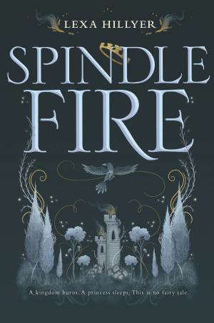 Cover of the book Spindle Fire by Misty Provencher