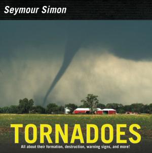 Book cover of Tornadoes