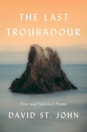 Cover of the book The Last Troubadour by Roger Rosenblatt