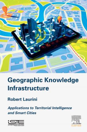 Cover of the book Geographic Knowledge Infrastructure by Stephane P.A. Bordas, Daniel S. Balint