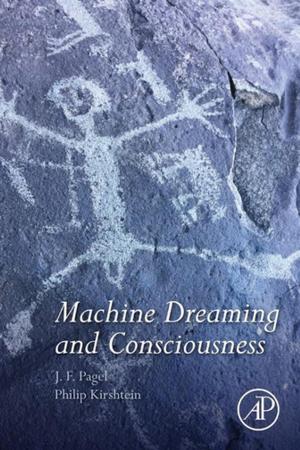 Cover of the book Machine Dreaming and Consciousness by Reza Sadeghbeigi
