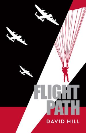 Cover of the book Flight Path by Dr Simon Rowley