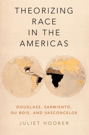 Cover of the book Theorizing Race in the Americas by Stewart D. Friedman, Jeffrey H. Greenhaus