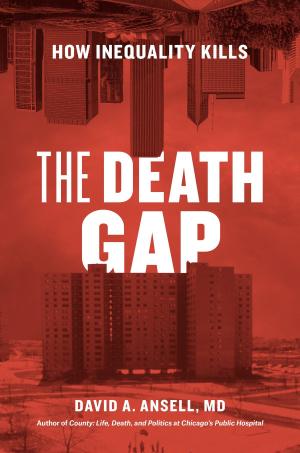 bigCover of the book The Death Gap by 