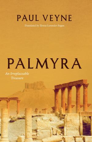 Cover of the book Palmyra by Peter A. Alces