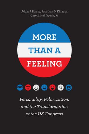 Cover of the book More Than a Feeling by Christopher L. Miller