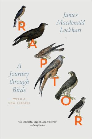 Cover of the book Raptor by Stanley Cavell