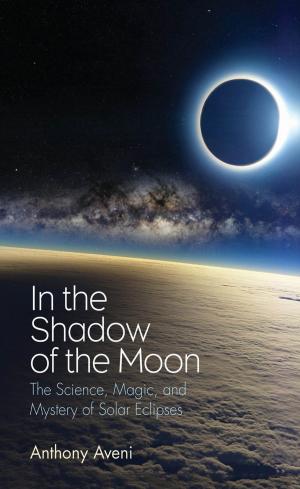 Cover of the book In the Shadow of the Moon by Benjamin Schewel
