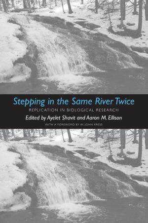 Cover of the book Stepping in the Same River Twice by Dieter Helm