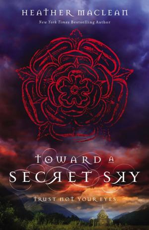 Cover of the book Toward a Secret Sky by Christina June