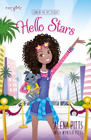 Cover of the book Hello Stars by Kim Washburn