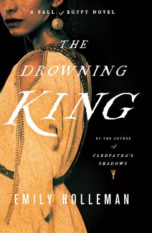 Cover of the book The Drowning King by Matthew Quirk