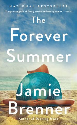 Cover of the book The Forever Summer by Itamar Srulovich, Sarit Packer