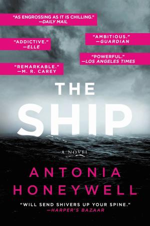 Cover of the book The Ship by Tom Holt