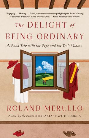 Book cover of The Delight of Being Ordinary