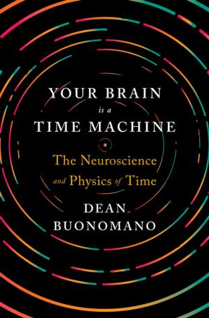 Cover of the book Your Brain Is a Time Machine: The Neuroscience and Physics of Time by David Nordmark