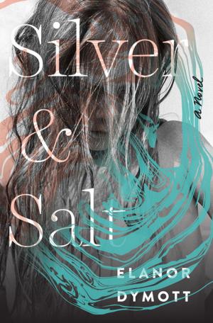 Cover of the book Silver and Salt: A Novel by Nathan Bomey
