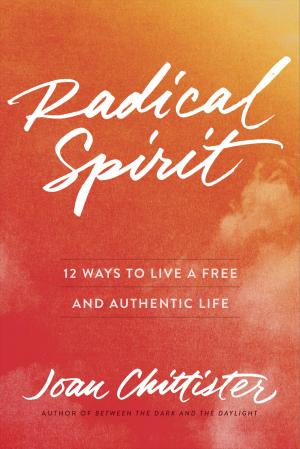 Cover of the book Radical Spirit by Michael McKell