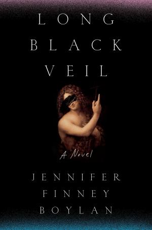 Book cover of Long Black Veil